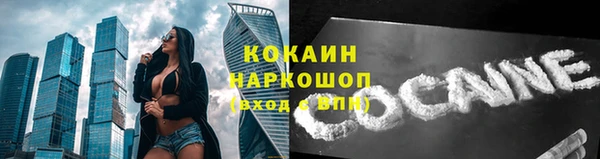 прущая мука Арсеньев