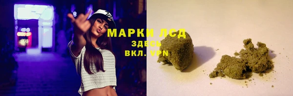 spice Аркадак