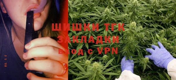 spice Аркадак