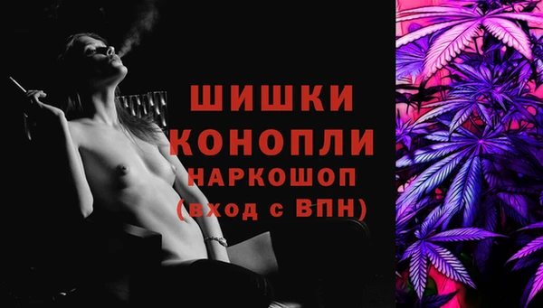 spice Аркадак