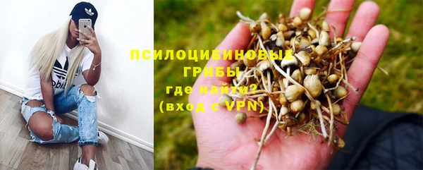 spice Аркадак