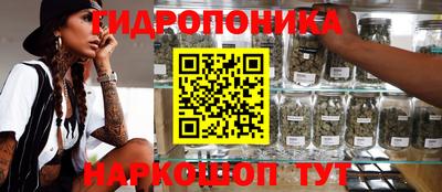 твердый Белореченск