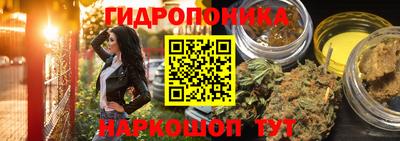 спиды Бердск