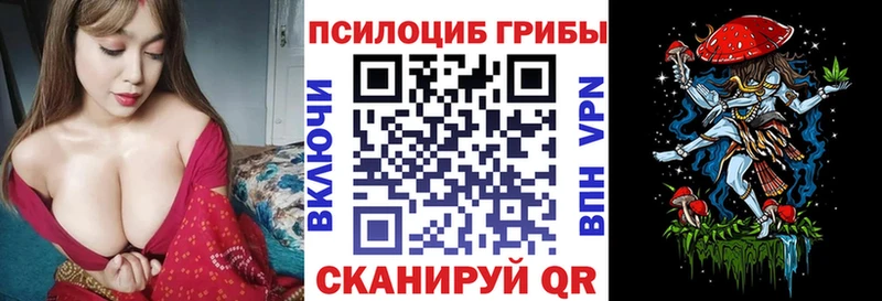 наркота  Новомосковск  Галлюциногенные грибы прущие грибы 