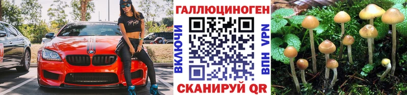 Галлюциногенные грибы мухоморы Новомосковск