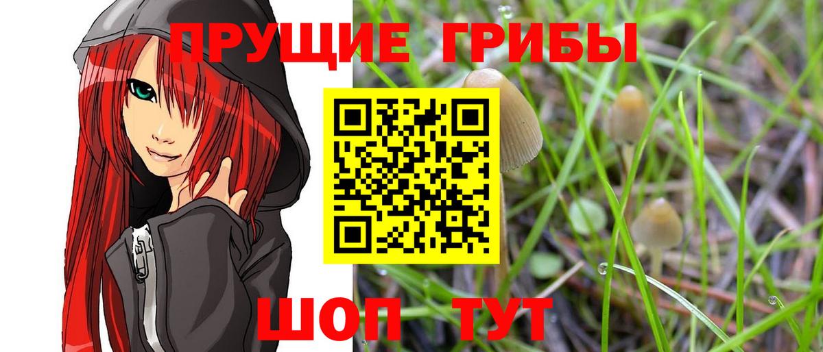 Новомосковск  Псилоцибиновые грибы мухоморы  Вход с VPN 