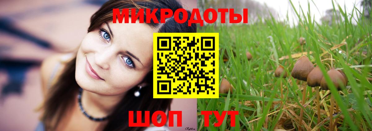 Псилоцибиновые грибы мухоморы Новомосковск